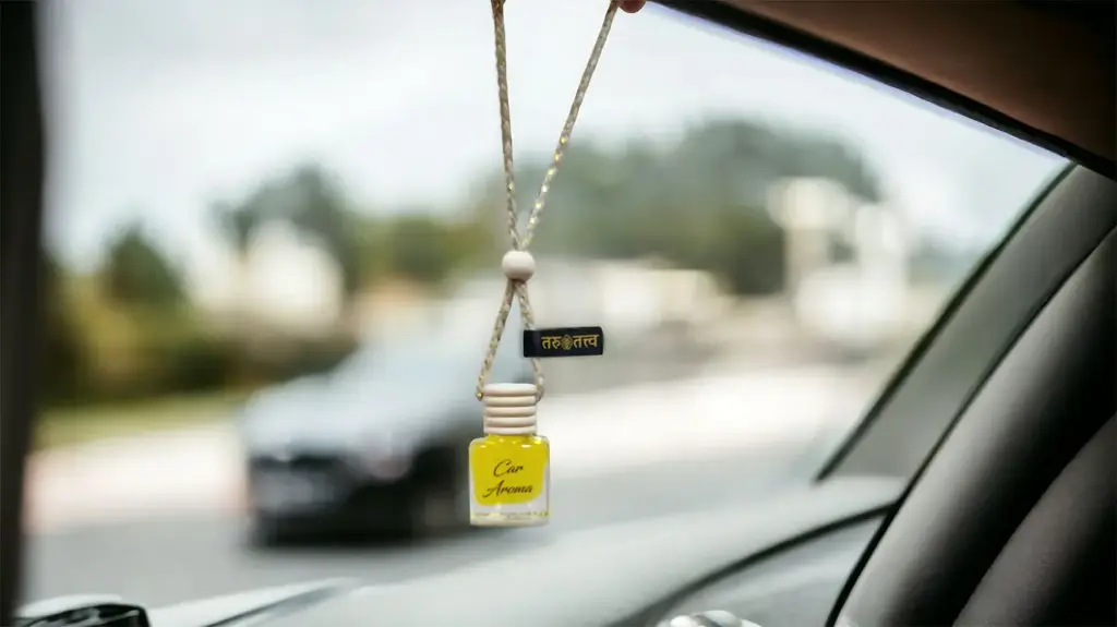 Photoroom-20241220_010605 copy.webp